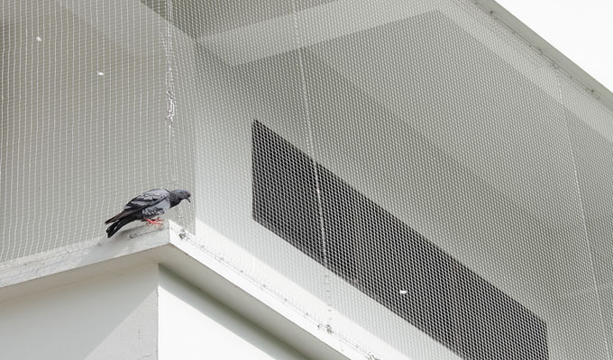 Pigeon Safety Nets In Ameerpet